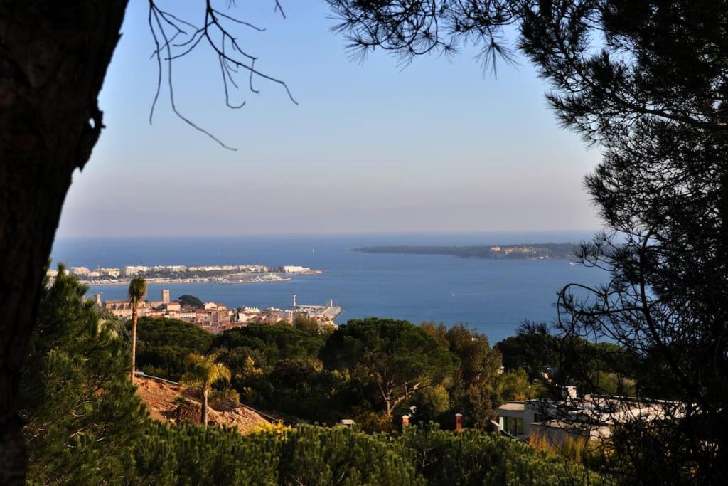Cannes Beach And Festival Palais Buitenkant foto